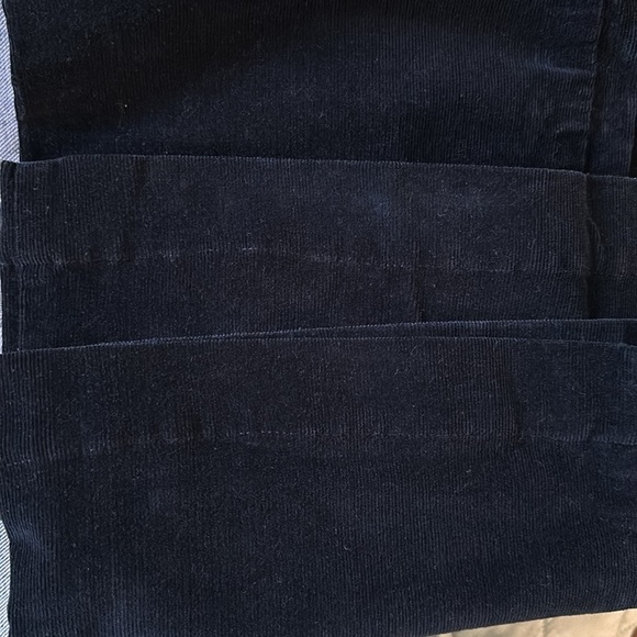 Alexa Chung for AG Jeans Revolution Navy corduroy Pants - Picture 13 of 14